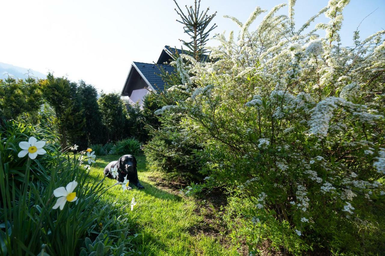 Guest House Pr' Cut Zirovnica Екстериор снимка